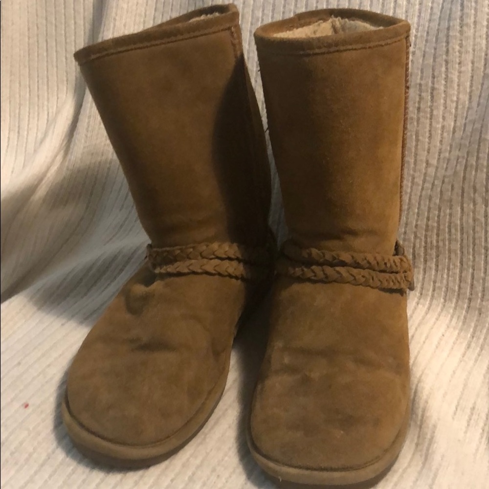 Brown BearPaw